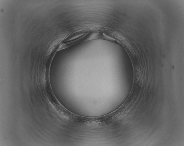 X0000070390586200606231739