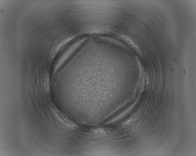 X0000070390588200606231739