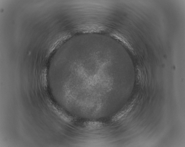 X0000070390590200606231739