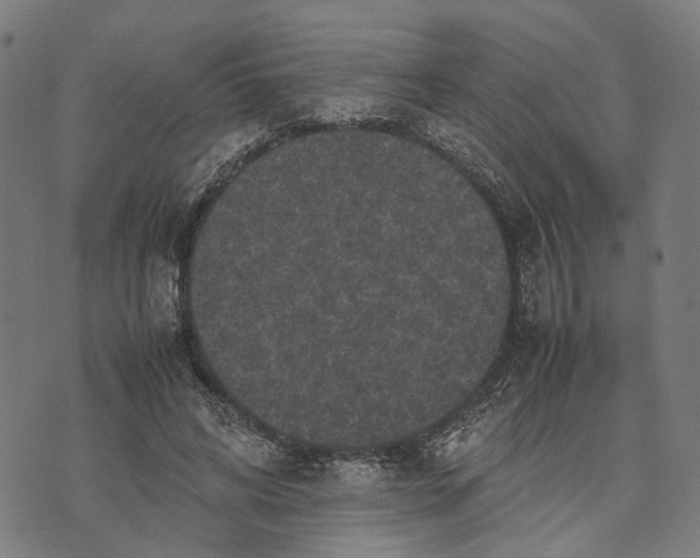 X0000070390592200606231739