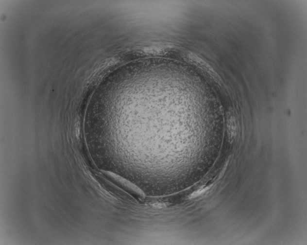 X0000070390593200606231739