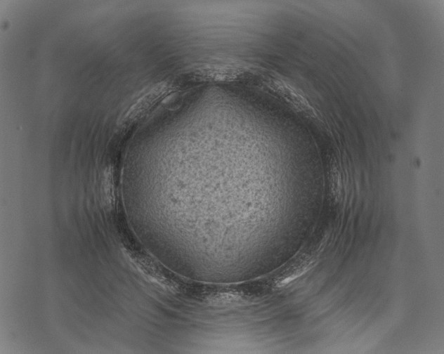 X0000070390594200606231739