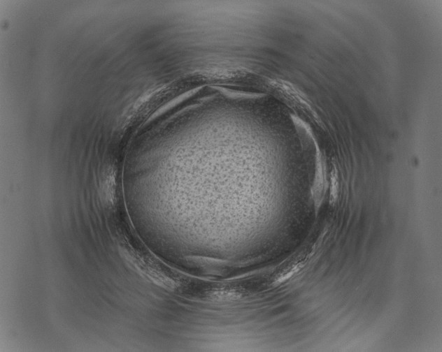 X0000070390596200606231739