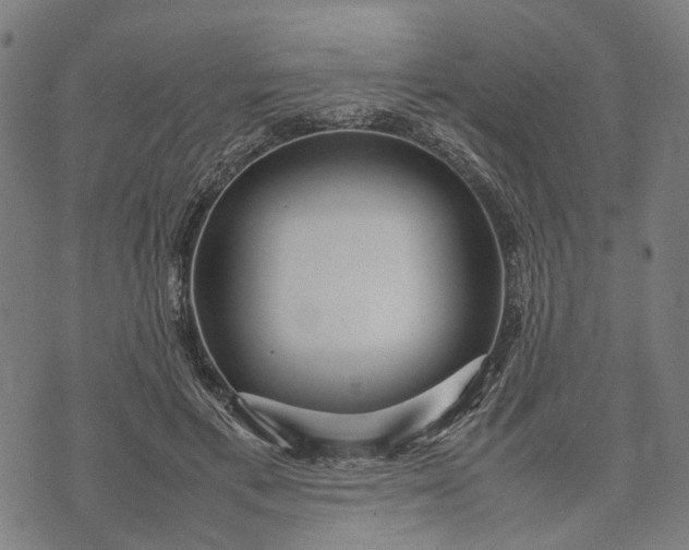 X0000070390597200606231739