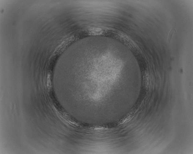 X0000070390598200606231739