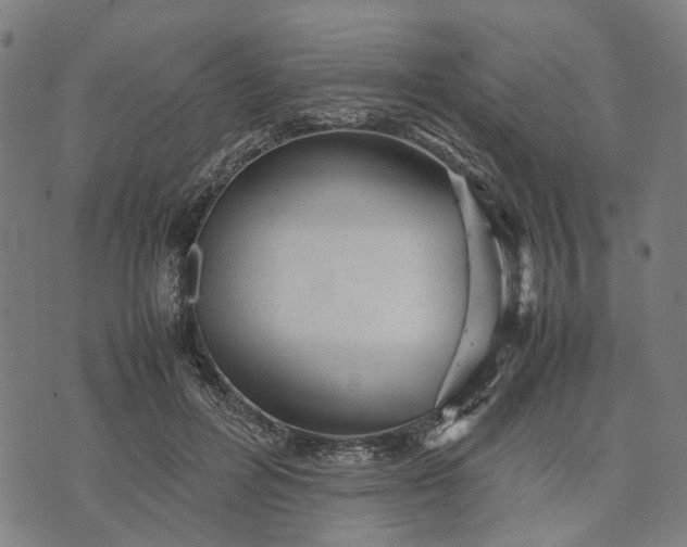 X0000070390600200606231739