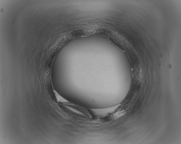 X0000070390601200606231739