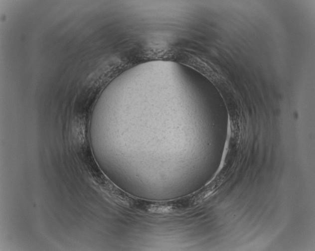 X0000070390602200606231739