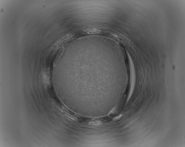 X0000070390604200606231739