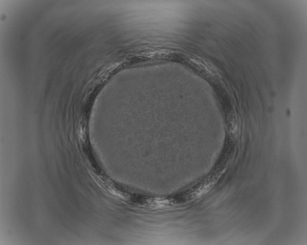 X0000070390607200606231739