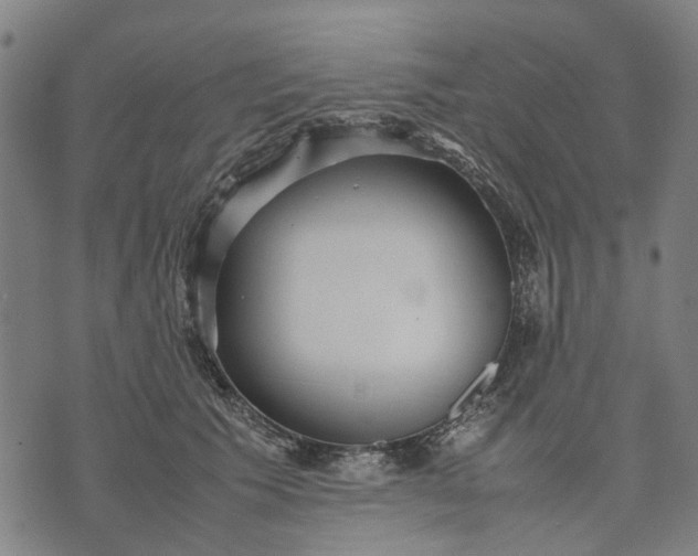 X0000070390609200606231739