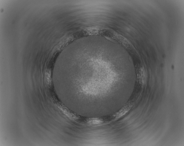 X0000070390610200606231739