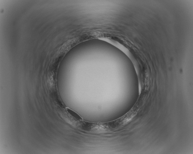 X0000070390611200606231739