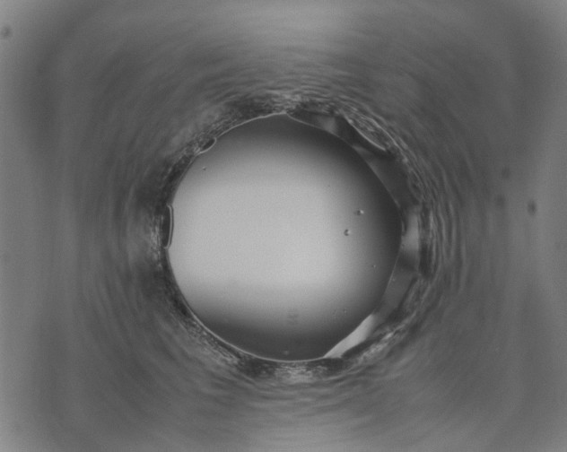 X0000070390613200606231739