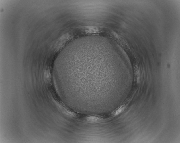 X0000070390614200606231739