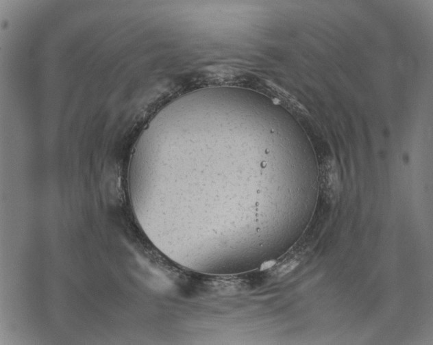 X0000070390615200606231739