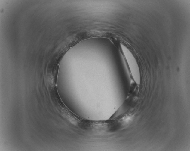 X0000070390617200606231739