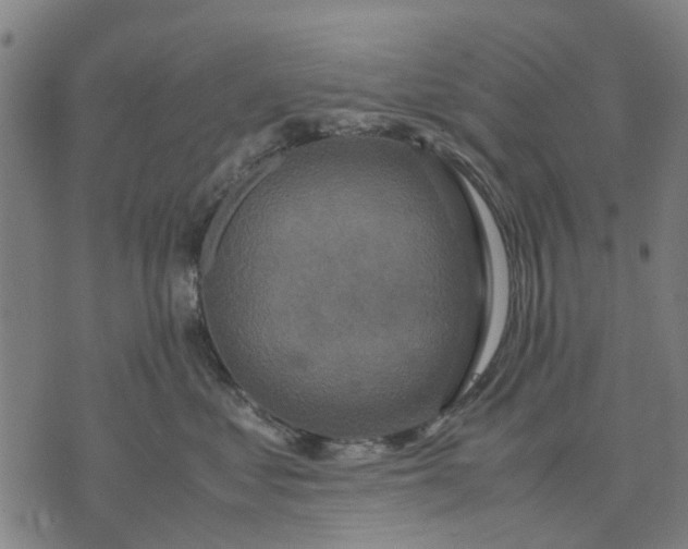 X0000070390621200606231739