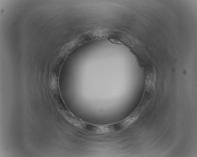 X0000070390623200606231739