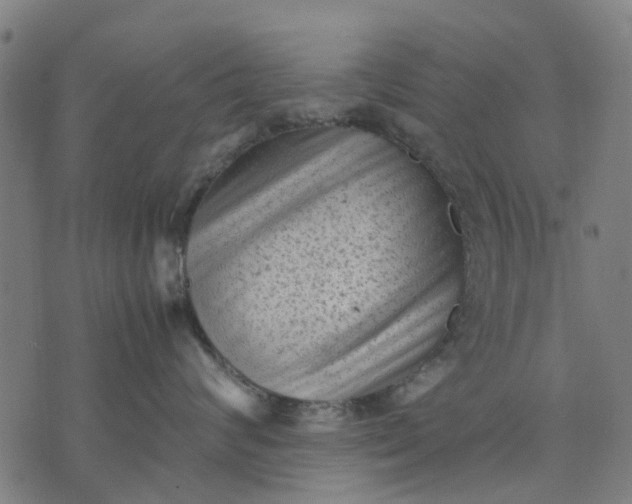 X0000070390624200606231739