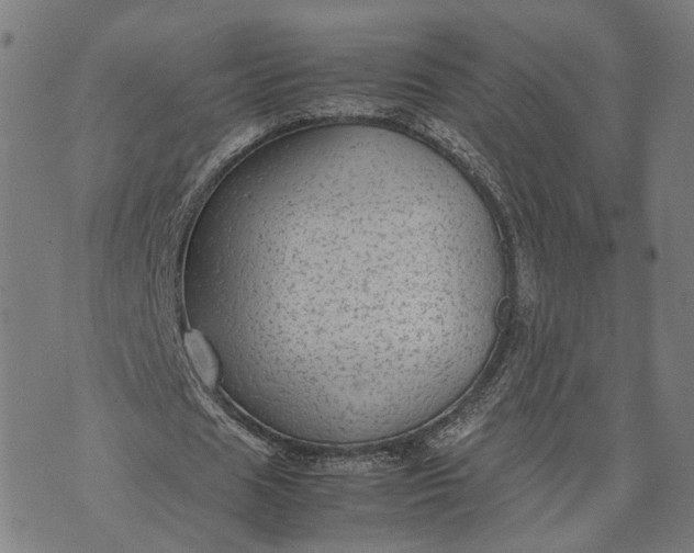 X0000070390625200606231738