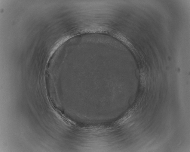 X0000070390626200606231738