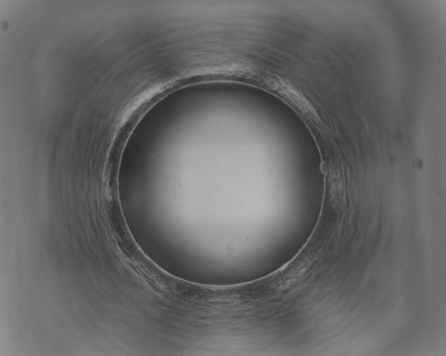 X0000070390628200606231738