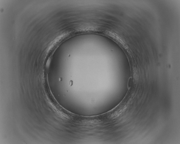 X0000070390629200606231738