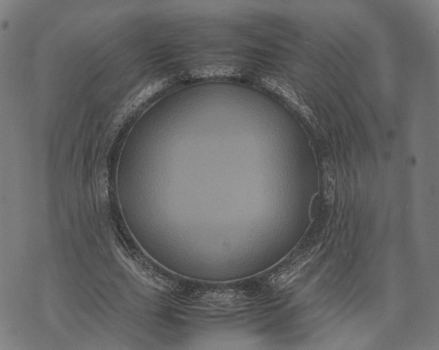 X0000070390631200606231738