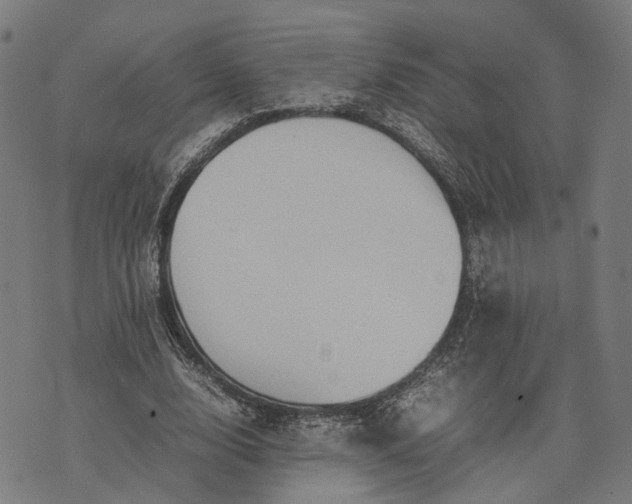 X0000070390632200606231738