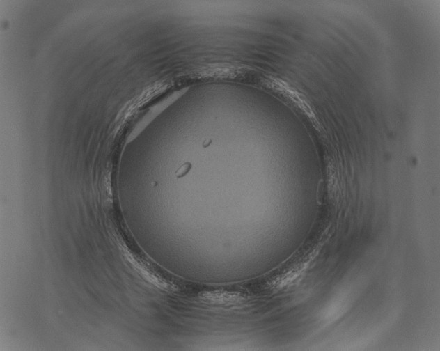 X0000070390633200606231738