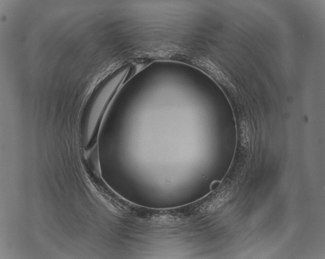 X0000070390634200606231738