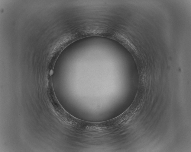 X0000070390635200606231738