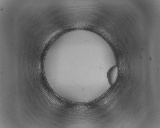 X0000070390636200606231738