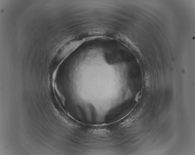 X0000070390637200606231738