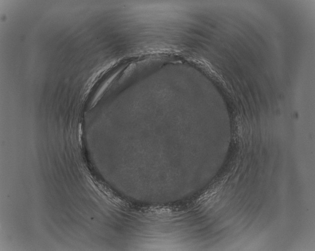 X0000070390640200606231738