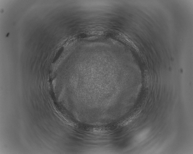 X0000070390641200606231738