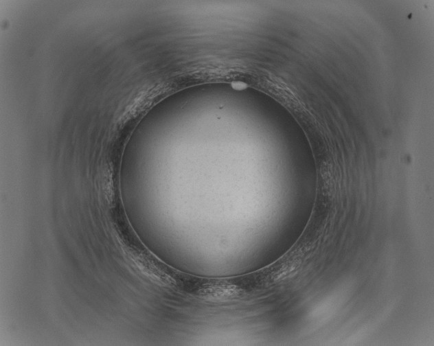 X0000070390642200606231738