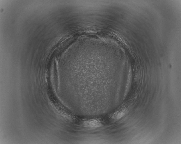 X0000070390643200606231738