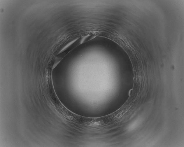 X0000070390647200606231738