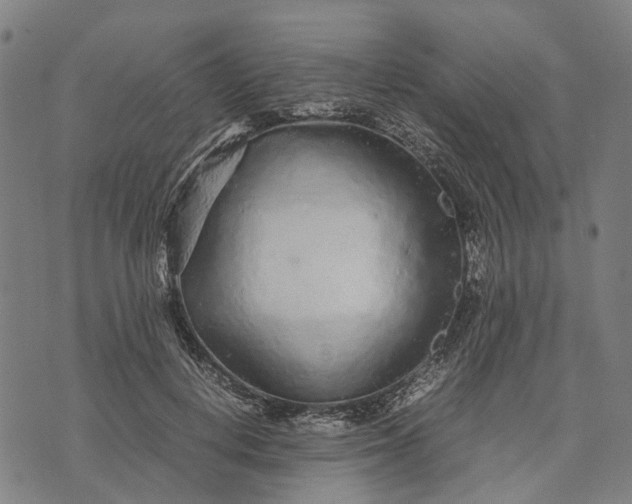 X0000070390648200606231738