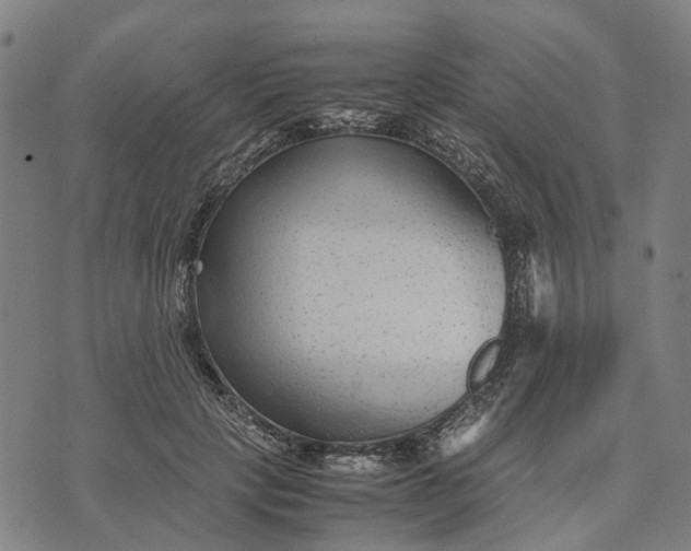 X0000070390649200606231738