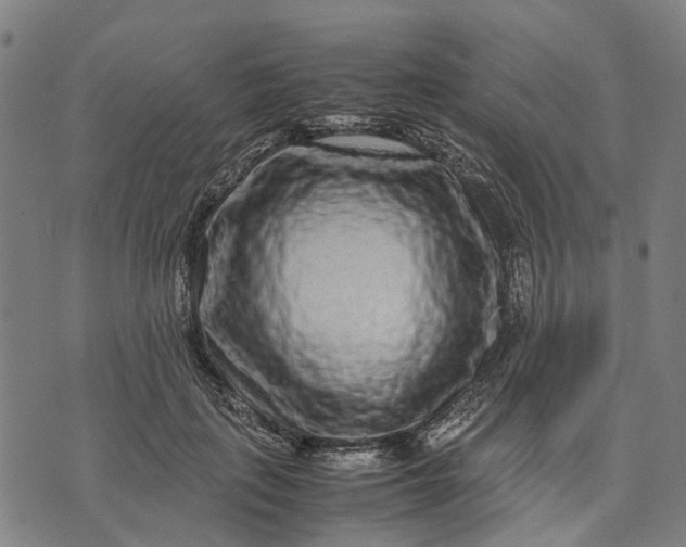 X0000070390651200606231738