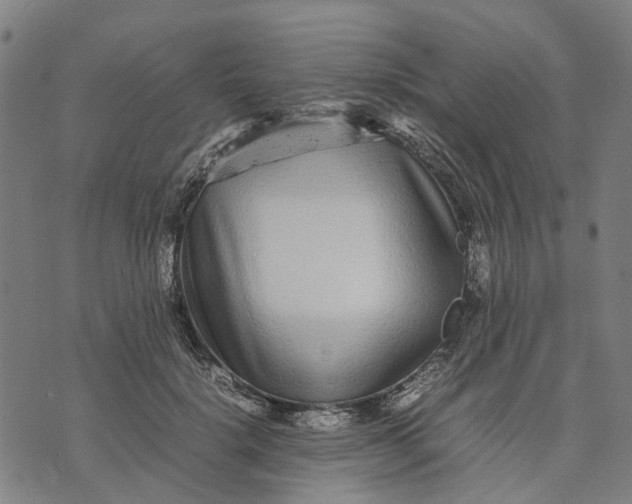 X0000070390652200606231738