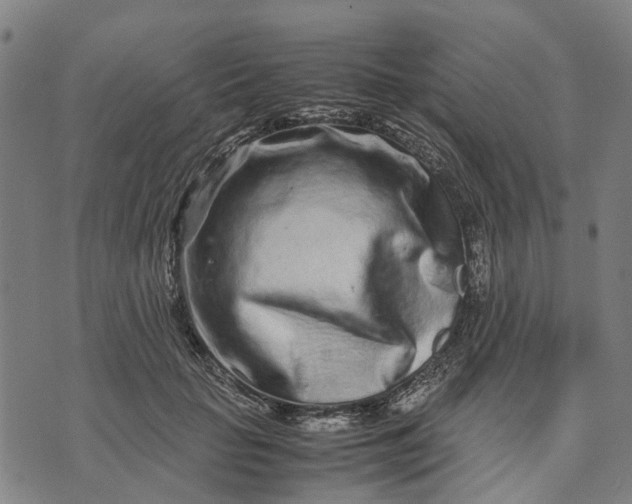 X0000070390653200606231738