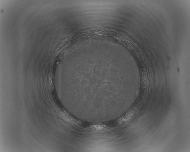 X0000070390654200606231739