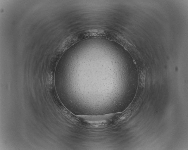 X0000070390657200606231739