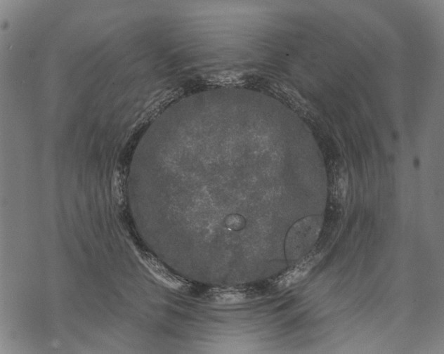 X0000070390658200606231739