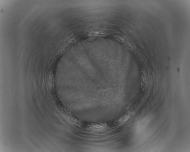 X0000070390659200606231739