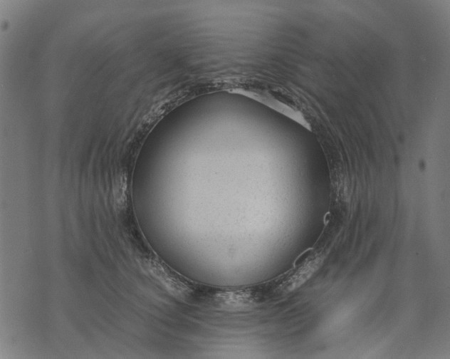 X0000070390660200606231739